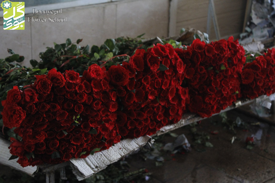 بازار گل محلاتی | بازار گل تهران | mahallati Flower market
