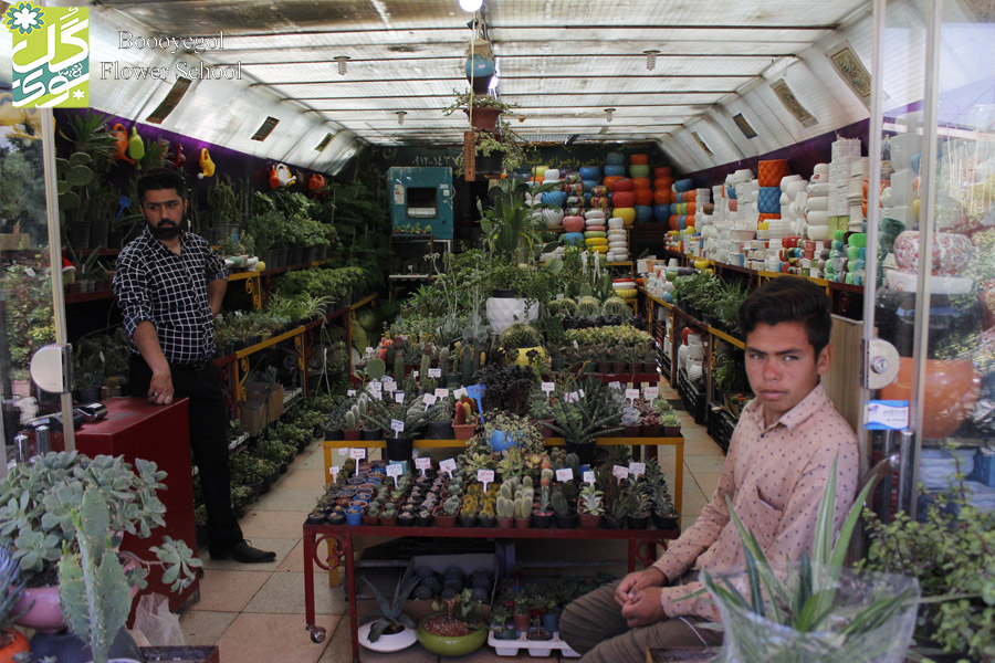 بازار گل تهران محلاتی
